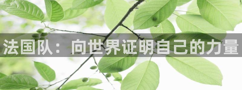 欧联杯直播:法国队:向世界证明自己的力量