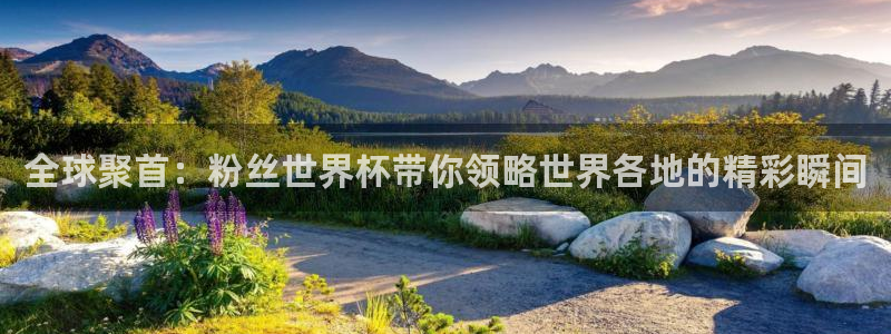 2026年世界杯时间表:全球聚首:粉丝世界杯带你领略世界各地的精彩瞬间
