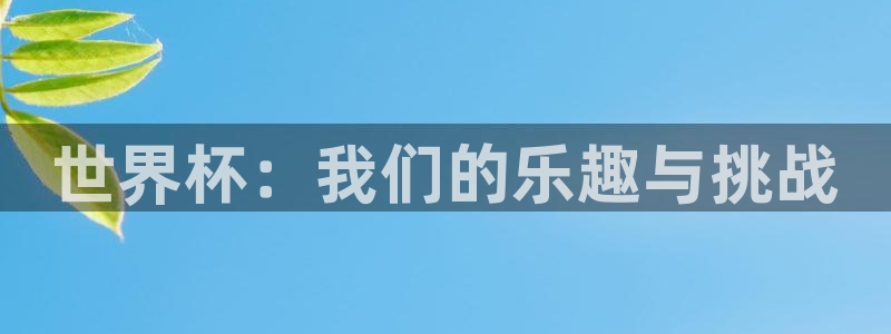 世界杯决赛预测:世界杯:我们的乐趣与挑战